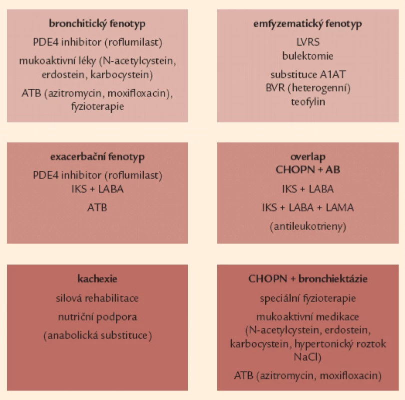 Souhrnná léčebná doporučení pro jednotlivé vyhraněné fenotypy CHOPN. 
A1AT – α-1 antitrypsin, AB – bronchiální astma, ATB – antibio tika, BVR – bronchoskopická volumredukce, IKS – inhalační kortikosteroidy, LABA – inhalační β<sub>2</sub>- agonisté s dlouhodobým účinkem, LAMA – inhalační anticholinergika s dlouhodobým účinkem, LVRS – plicní volum redukující operace, NAC – N- acetylcystein, PDE4 – fosfodiesteráza 4, NaCl – natrium chloratum