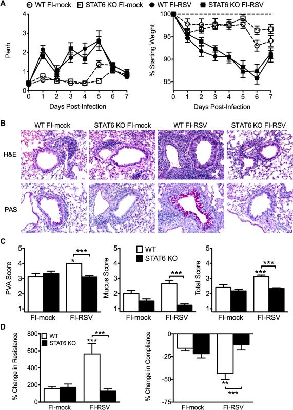 Th2-associated immune response is necessary for lung pathology and airway hyperreactivity.