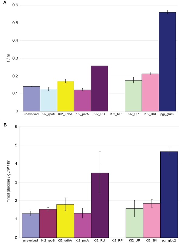 Growth rates and glucose uptake rates for pgi_gluc2 single, double, and triple knock-in strains.