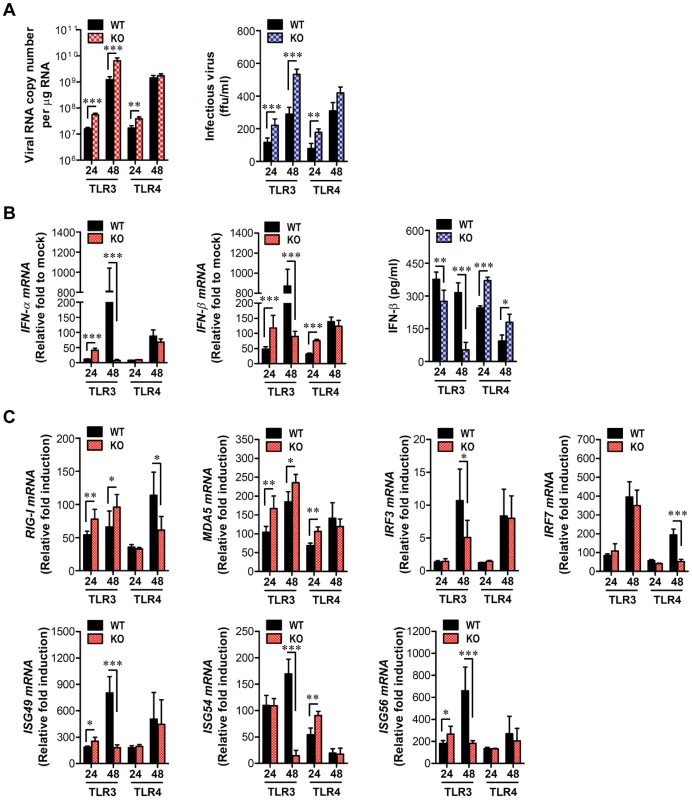 Induction of type I IFNs and ISGs in primary cortical neurons derived from TLR3<sup>−/−</sup> and TLR4<sup>−/−</sup> mice after JEV infection.