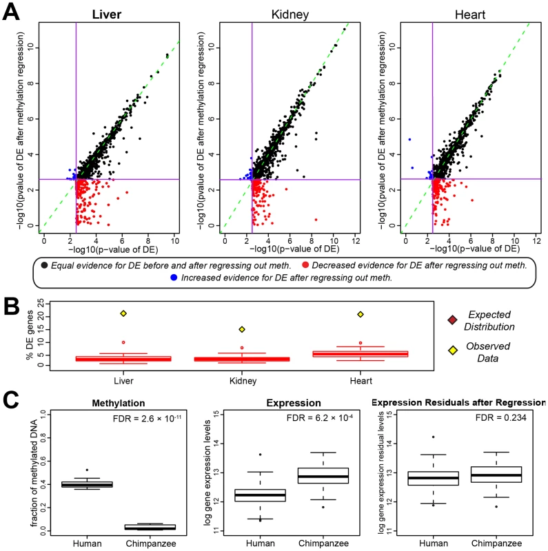 Inter-species methylation and gene expression differences.