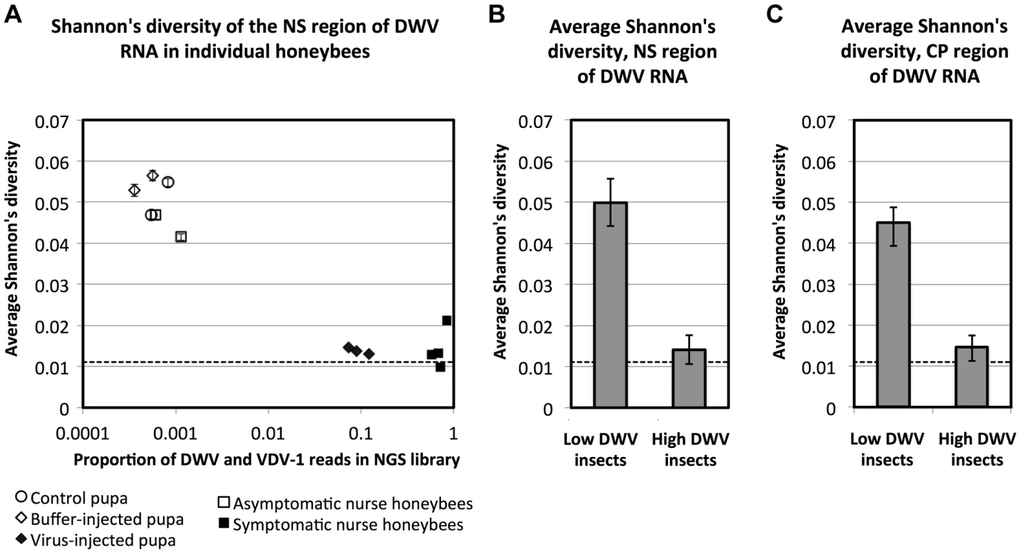 DWV diversity and the level of DWV accumulation.