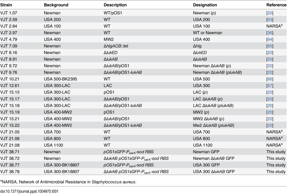<i>Staphylococcus aureus</i> strains used in this study.