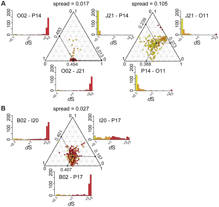 Ternary plots of sequence divergence at synonymous sites.