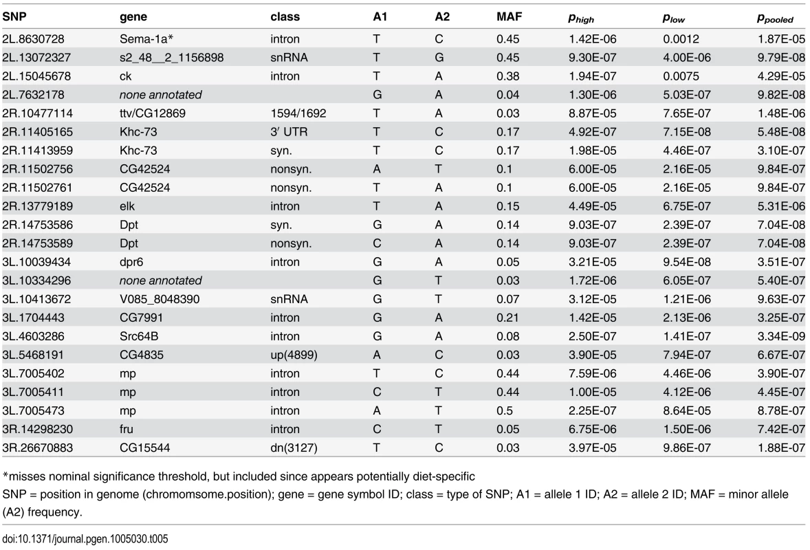 Significant SNPs (P<10<sup>-6</sup>) from genome-wide association study for immune defense against <i>Providencia rettgeri</i> infection with data from the high glucose diet (<i>p</i><sub><i>high</i></sub>), low glucose diet (<i>p</i><sub><i>los</i></sub>) and when data from both diets are combined (<i>p</i><sub><i>pooled</i></sub>).