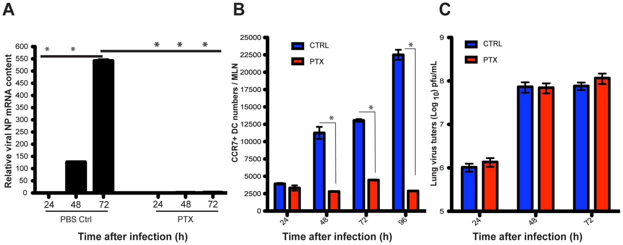 Blockade of lung migratory cells abolishes viral mRNA production in the MLNs.