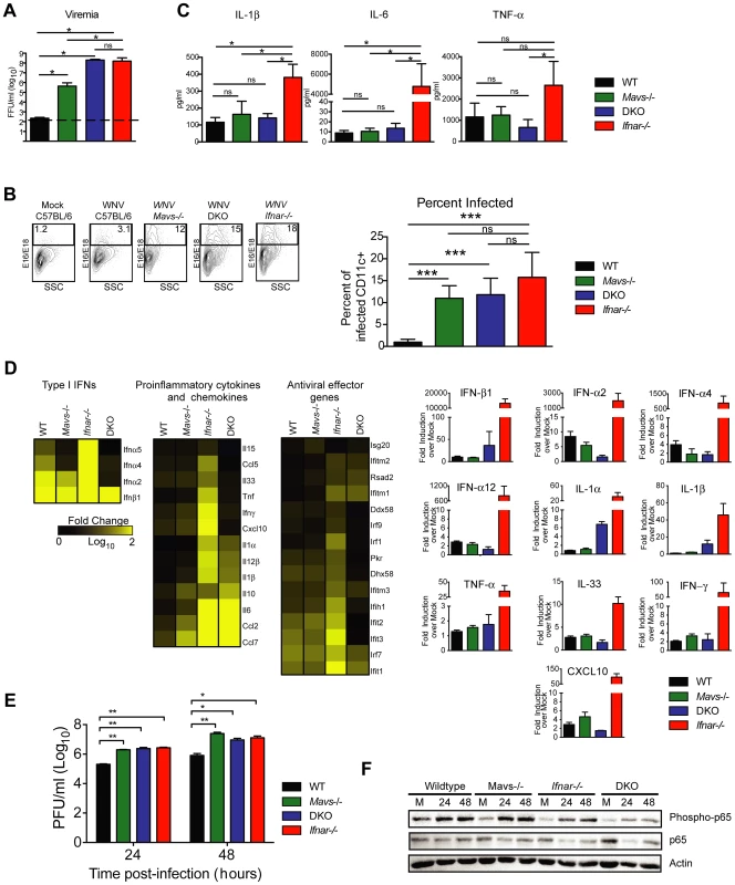 Effect of MAVS signaling on cytokine induction.