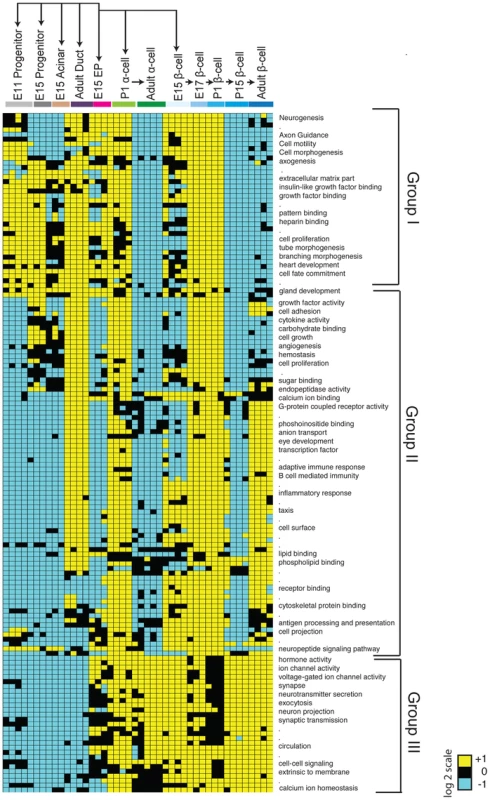 Module map analysis of differentially expressed gene sets.