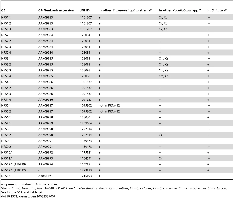 Conservation of <i>C. heterostrophus</i> strain C5 nonribosomal peptide synthetases in other <i>Cochliobolus</i> strains and species.
