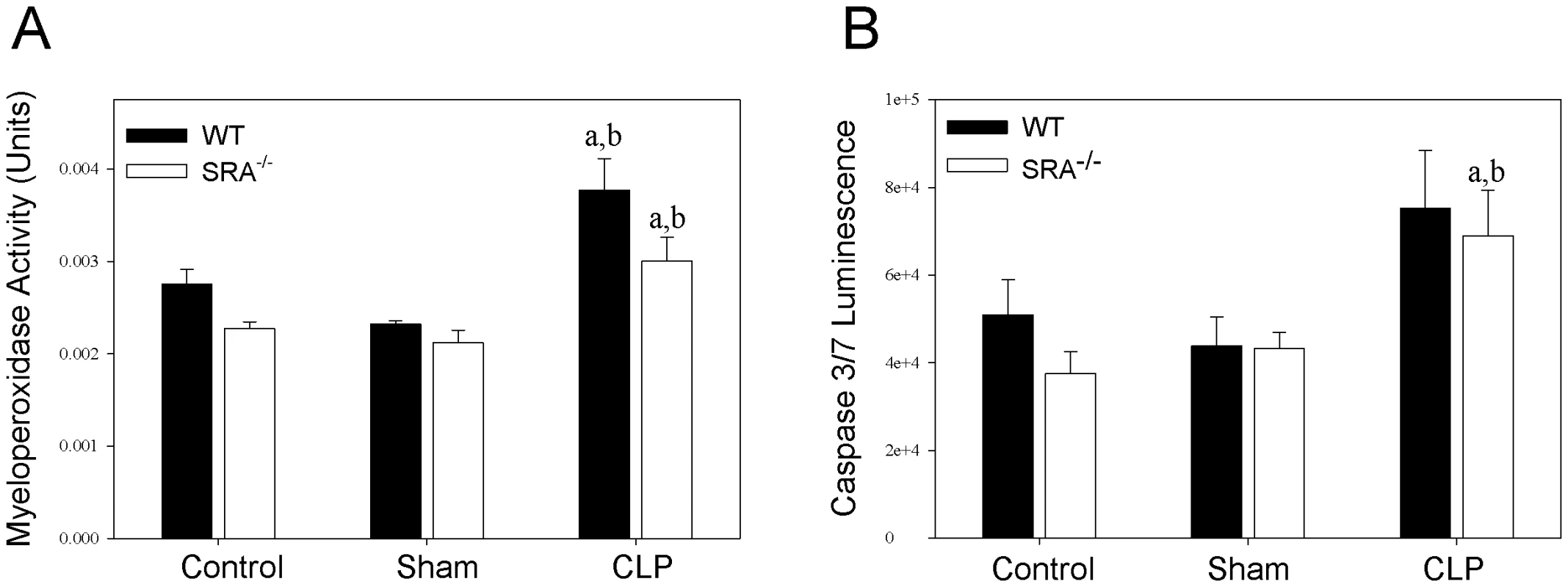 SRA deficiency had no effect on pulmonary neutrophil infiltration or splenocyte apoptosis during sepsis.