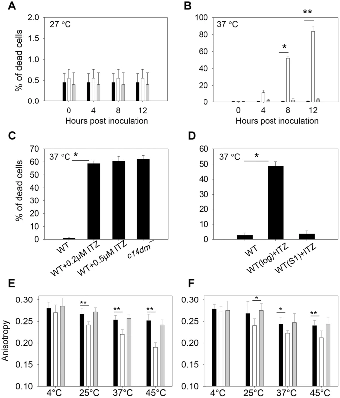 Inactivation of C14DM leads to extreme sensitivity to heat and increased membrane fluidity.