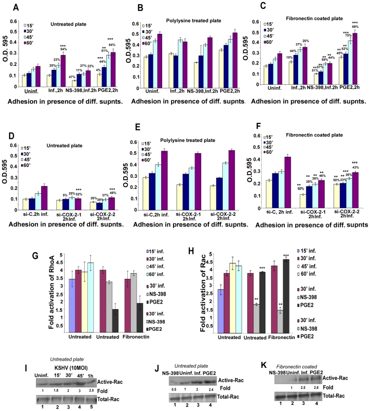 Measurement of endothelial cell adhesion.