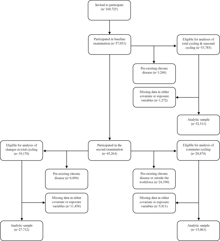 Flow chart of participants from invitation to analyses.
