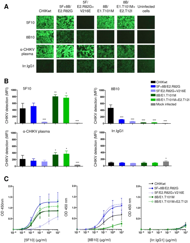 Analysis of 5F10 and 8B10 mAb binding to clonal CHIKVs.
