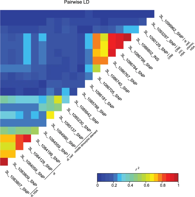 Pairwise linkage disequilibrium among the associated <i>bab1</i> variants.