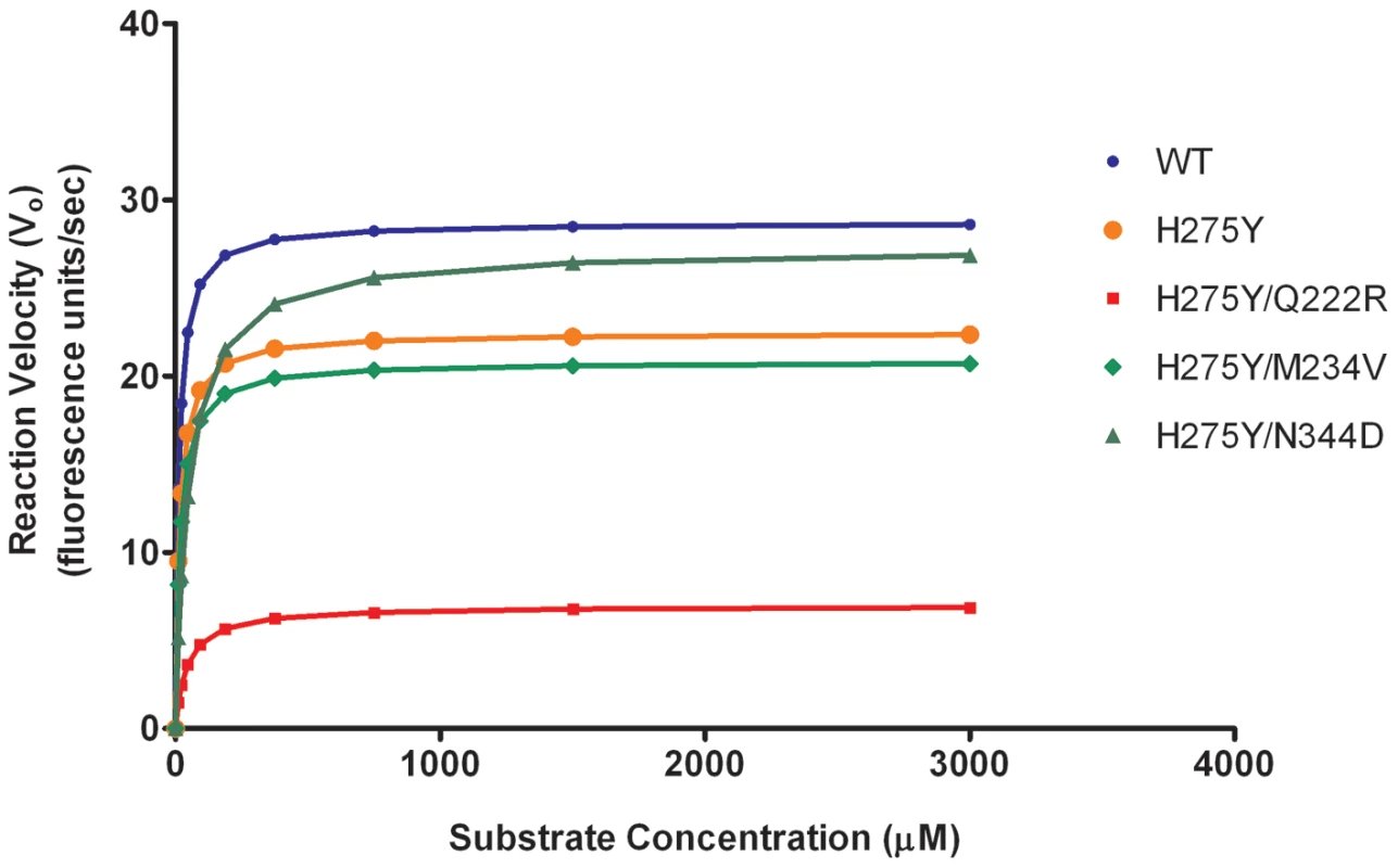 Neuraminidase (NA) enzyme kinetics of recombinant A/Brisbane/59/2007-like (H1N1) viruses.