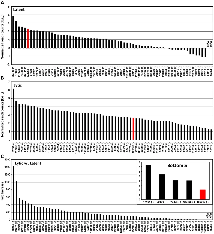 Usage of identified KSHV pA sites from latent to lytic infection.