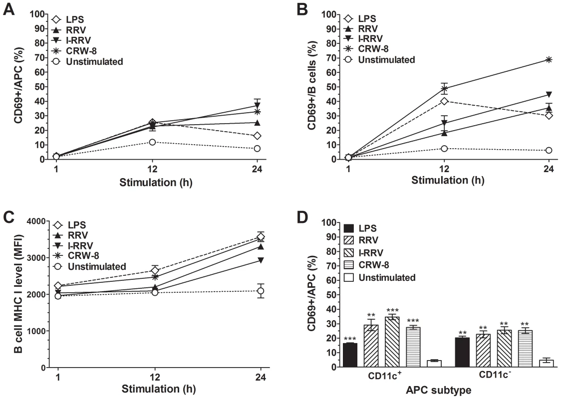 Rotavirus simulation of splenocytes induced APC and B cell activation.