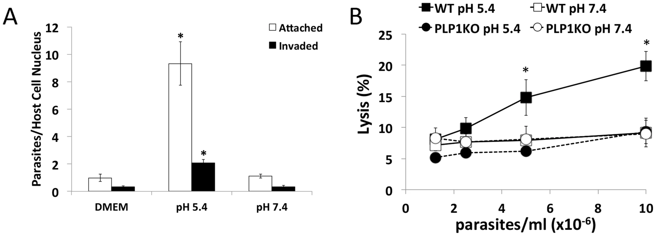 Acidic pH increases invasion but results in host cell damage.