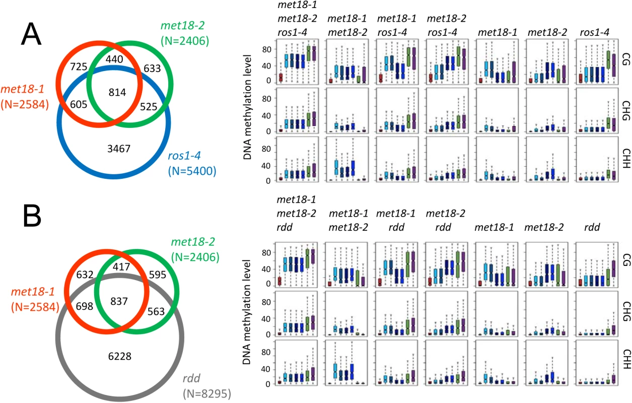 Comparison of hyper-DMRs among <i>met18-3</i>, <i>ros1-4</i>, and <i>rdd</i> mutants.