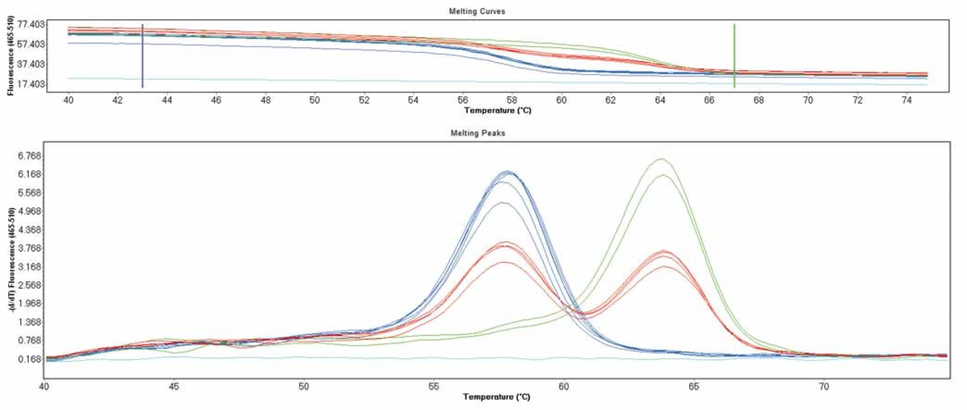 Genotypizace pomocí křivek tání na přístroji LightCycler 480 II - polymorfizmus p.Val66Met v genu <i>BDNF</i>. Pík při 59 °C značí standardní alelu, pík při teplotě 64 °C značí mutantní alelu.
Fig. 1. LightCycler 480 II melting curves genotyping analysis – p.Val66Met polymorphism in <i>BDNF</i> gene. Peak at melting temperature 59 °C indicates wild type allele, peak at 64 °C indicates mutant allele.