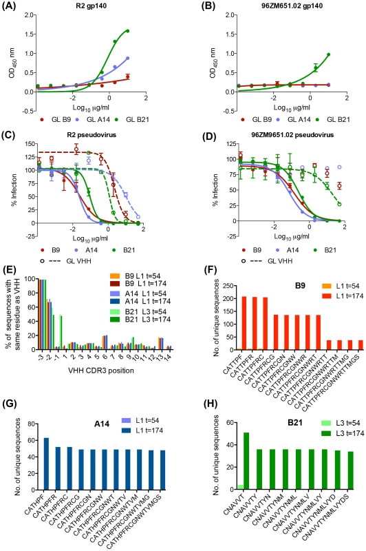 Anti-HIV activity of germ line V gene VHH.