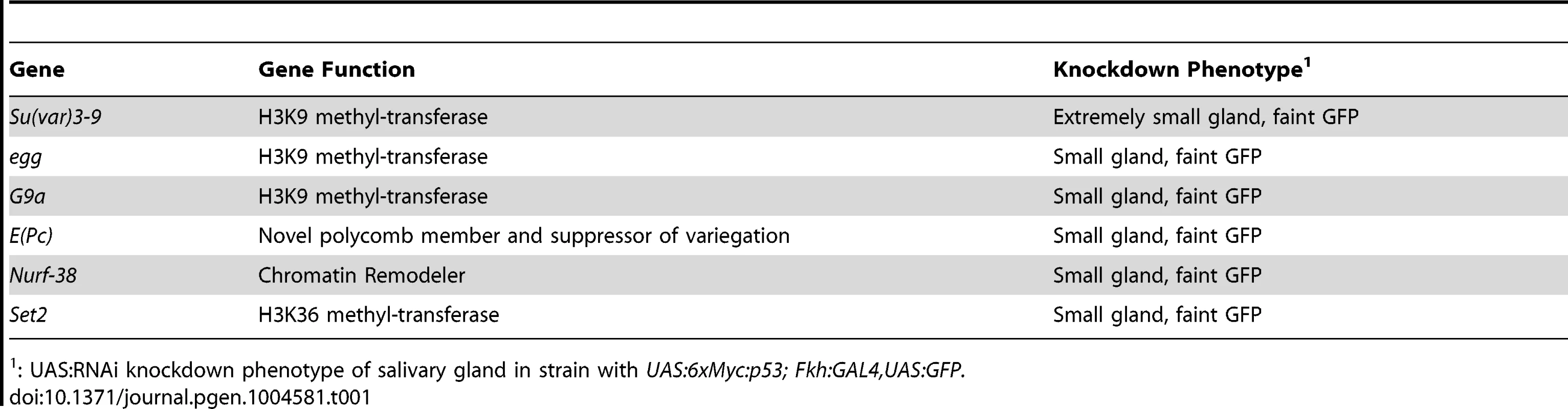 Genes recovered in an RNAi screen for salivary gland cell death.