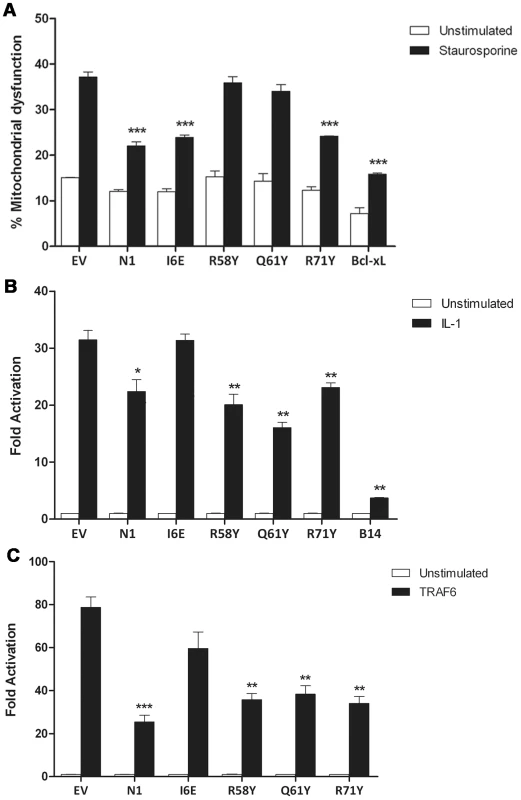 Functional characterization of mutant N1.