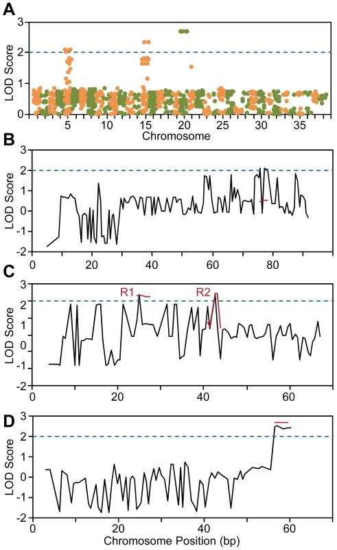 Genome-wide linkage analysis of SNP genotyping data.