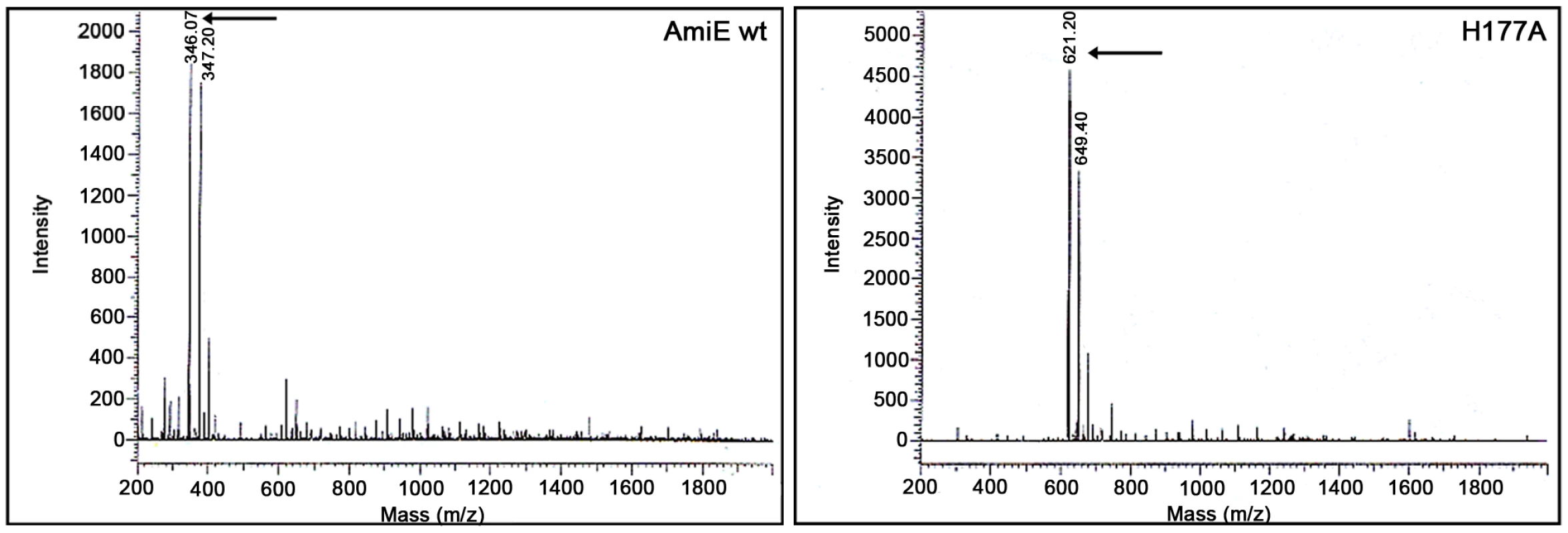 MTP digestion assay.