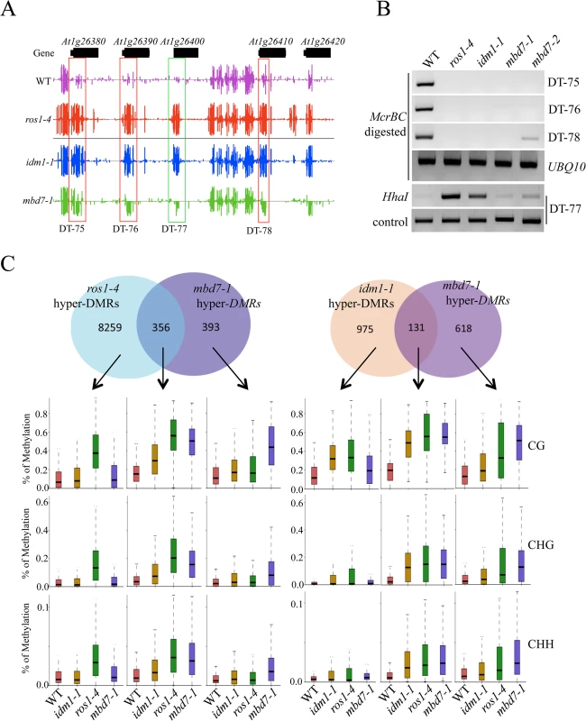 Methylome analysis of <i>mbd7-1</i> mutant.