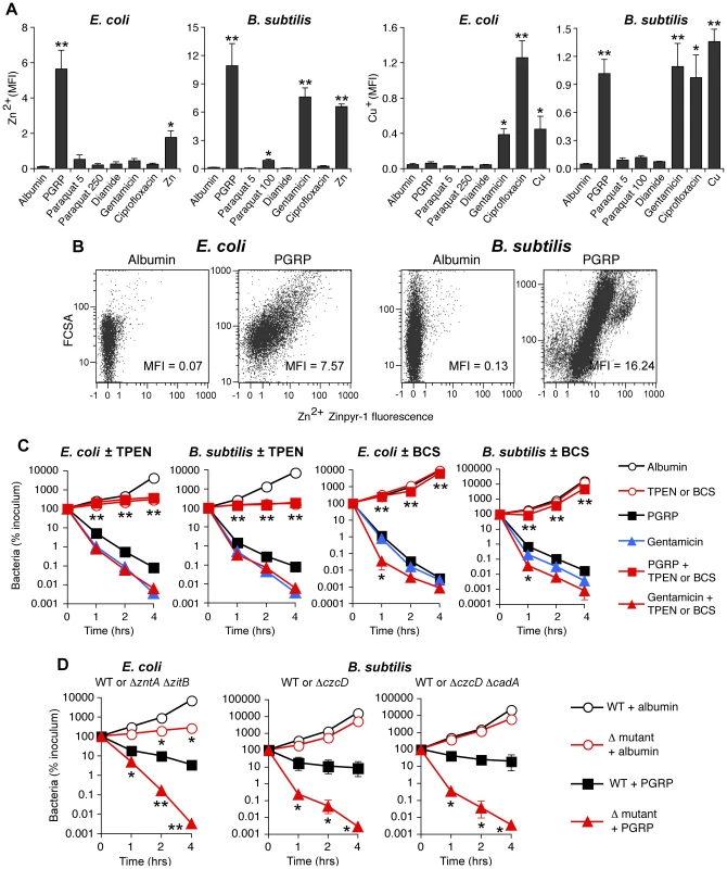 PGRP induces increase in intracellular Zn and Cu, and Zn and Cu are required for killing by PGRP but not by gentamicin.