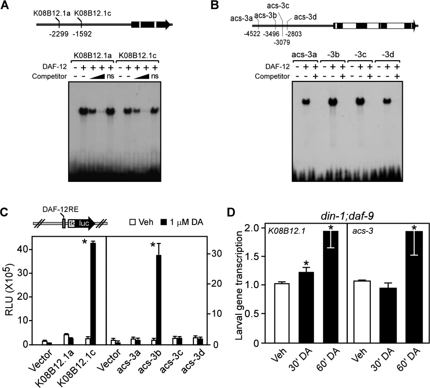 Fat utilization genes are direct targets of <i>C</i>. <i>elegans</i> DAF-12.