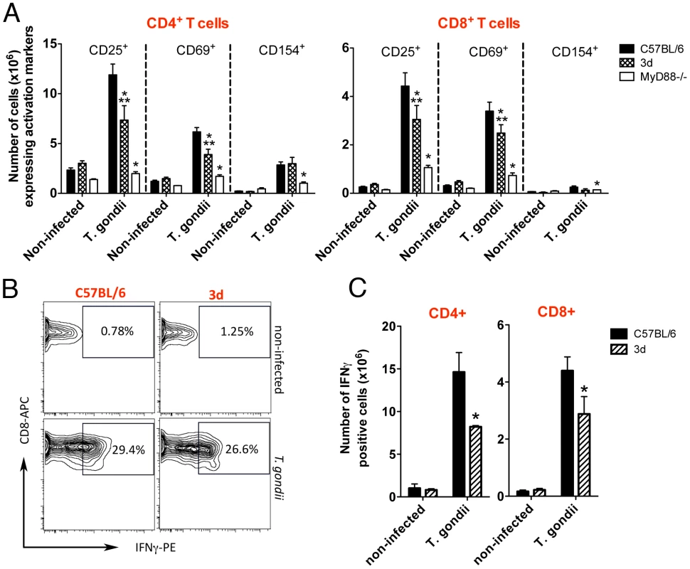 Upon infection with <i>T. gondii</i>, 3d mice display a significant number of T cells expressing activation markers in the surface.