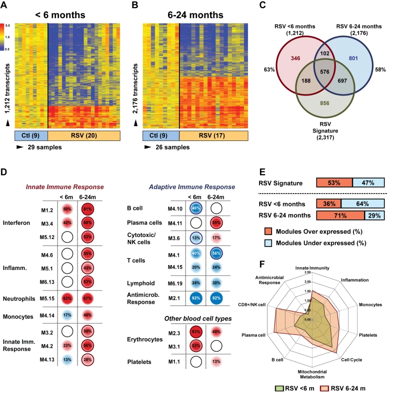 Age at the time of infection influences the host immune response to RSV.