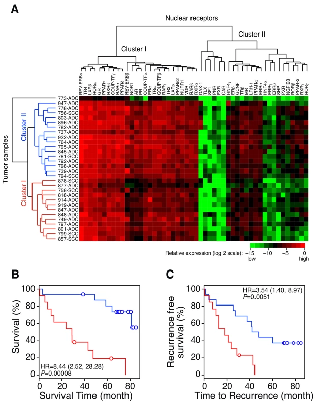 QPCR analysis of the NR gene expression signature in patients with lung cancer.