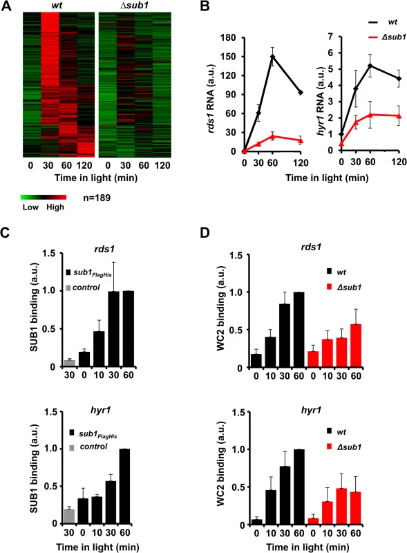 SUB1 is required for efficient recruitment of WCC and light-induction of a subset of genes.