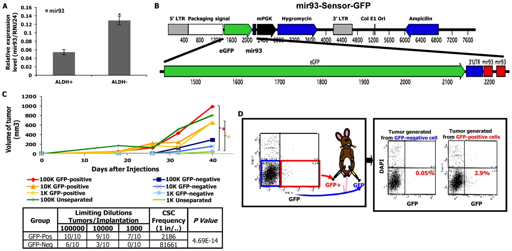 mir-93-negative SUM159 cells have increased tumor-initiating capacity.