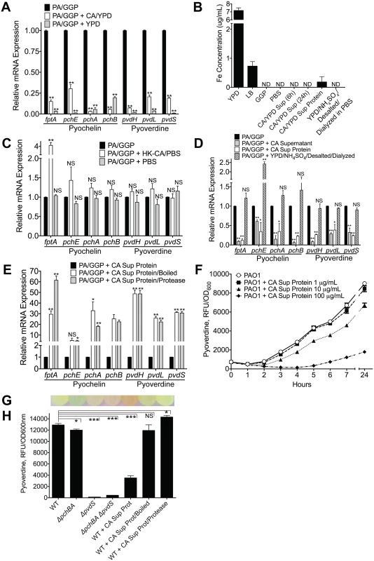 <i>C</i>. <i>albicans</i> secreted factors inhibit <i>P</i>. <i>aeruginosa</i> pyochelin and pyoverdine gene expression and pyoverdine production <i>in vitro</i>.