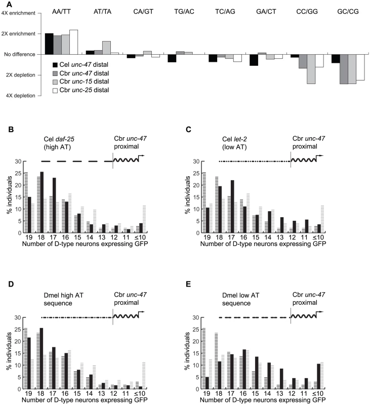 Promoter regions that confer robustness are enriched for nucleosome-depleted sequences.