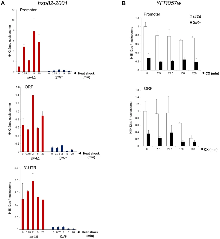 Activation of heterochromatic genes occurs in the context of negligible H4K12 acetylation.