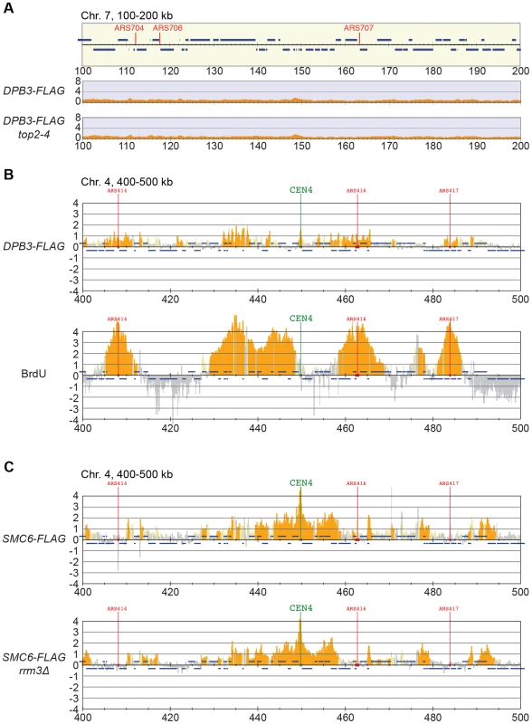 The chromosomal association of Smc6 does not depend on replication fork stalling.