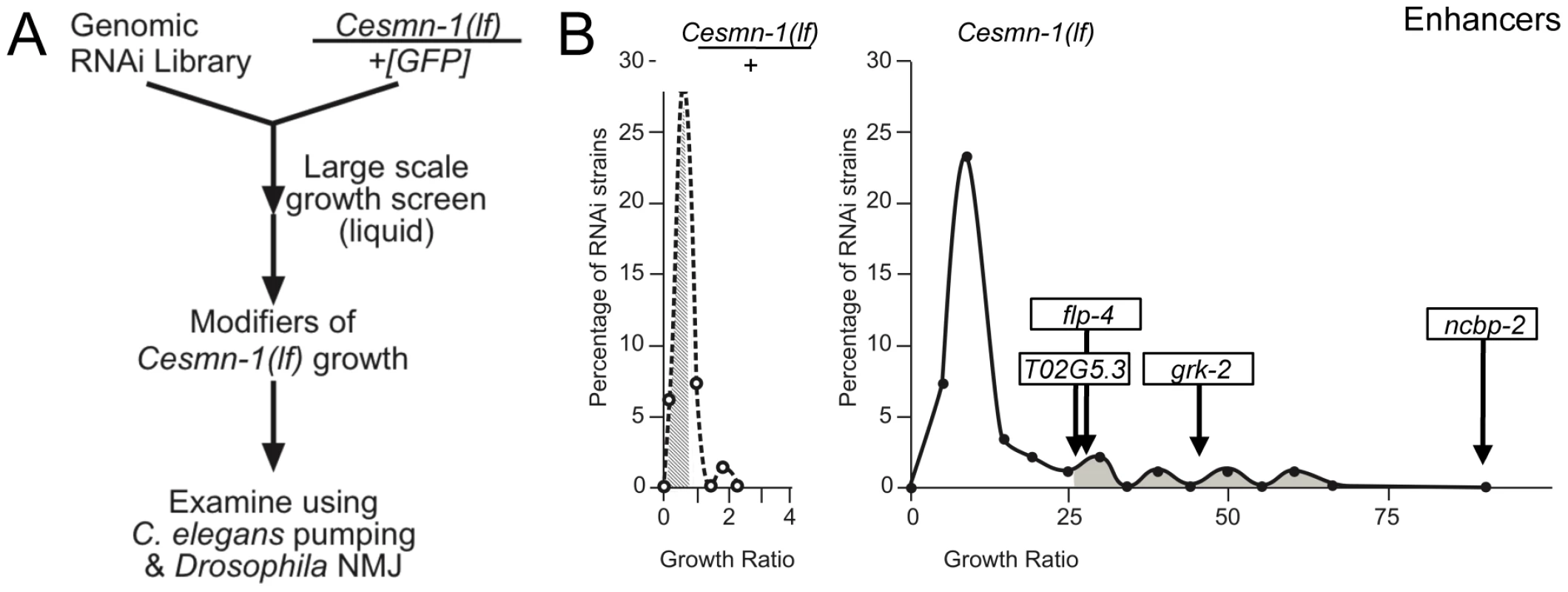 Genome-wide RNAi screen for <i>Cesmn-1(lf)</i> modifier genes.