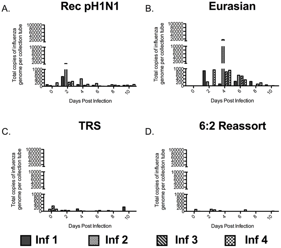 The Eurasian-origin NA and M gene segments contribute to the abundant release of 1 to 4 µm particles containing influenza virus.