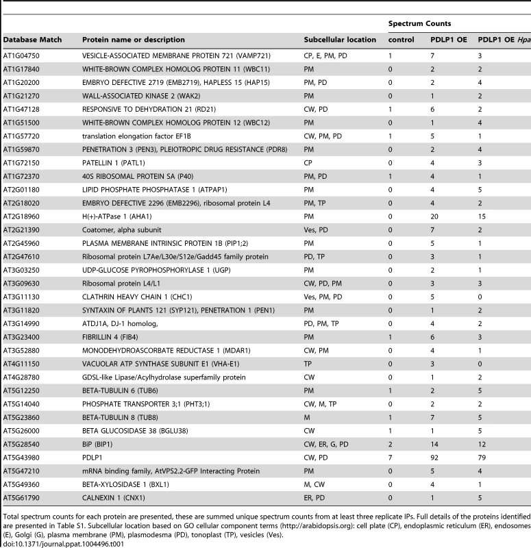 Proteins present in PDLP1-GFP containing membranes identified by MS/MS.