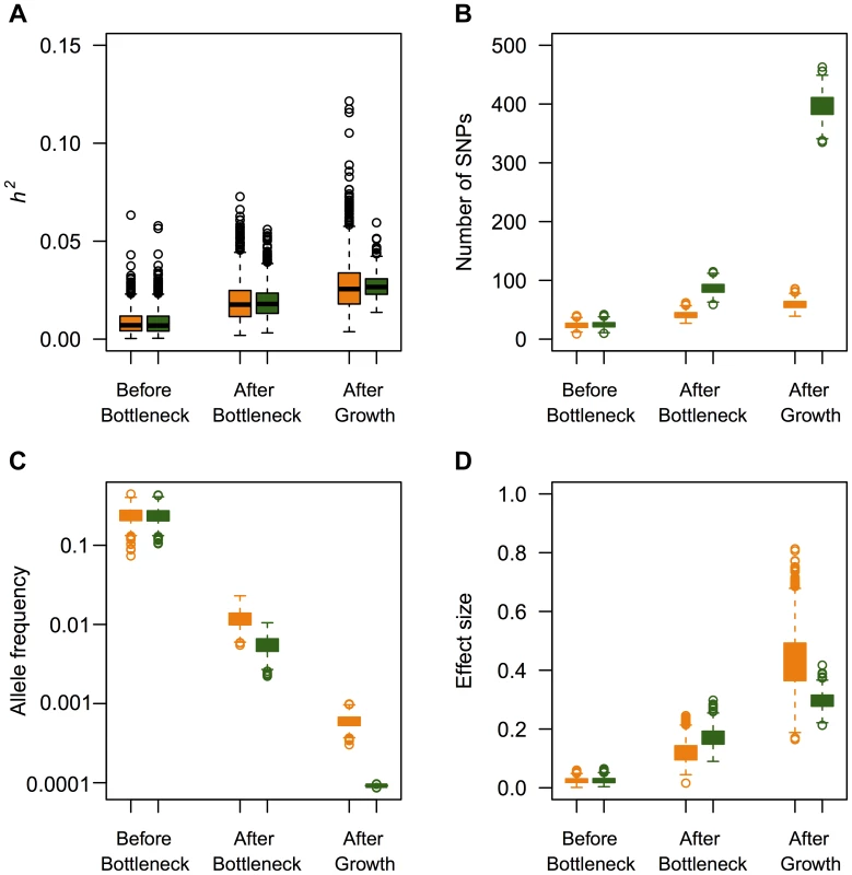 Effect of recent population growth on the heritability attributable to mutations of different ages when τ = 0.5.