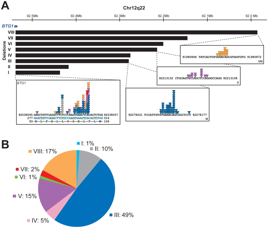 <i>BTG1</i> deletions cluster tightly and disrupt the <i>BTG1</i> open reading frame.