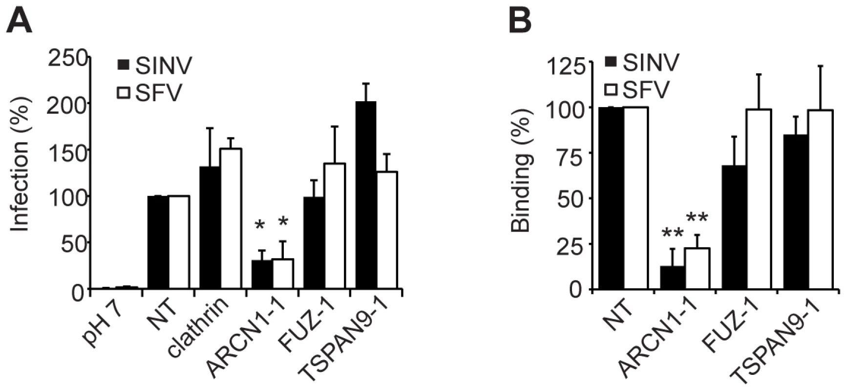 ARCN1 depletion inhibits alphavirus binding to host cells.