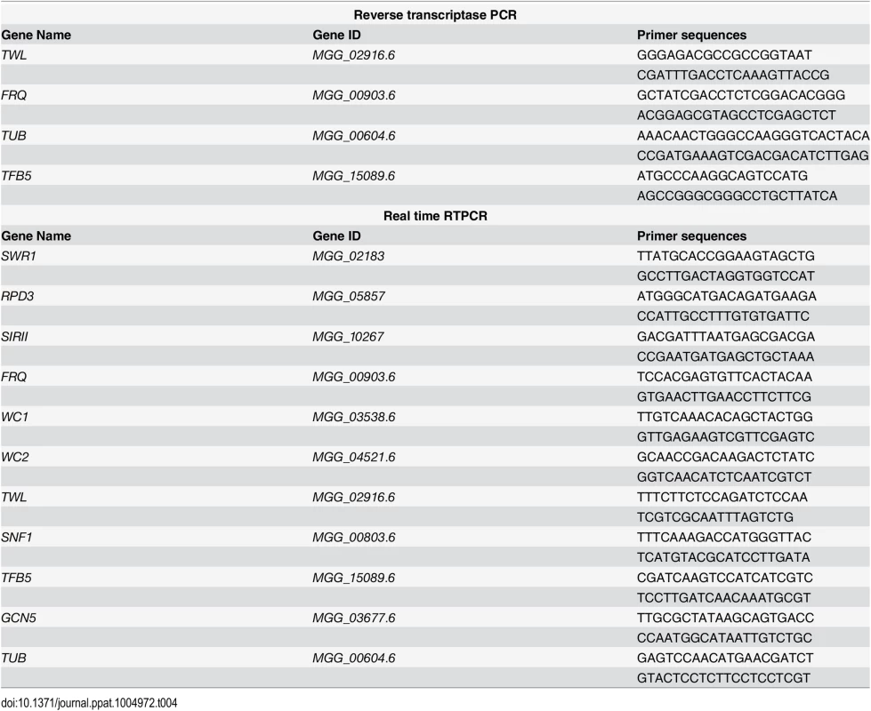 Oligonucleotide primers used for reverse transcriptase PCR or real-time RTPCR in this study.