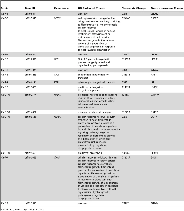 Non-synonymous <i>C. albicans</i> single nucleotide variants.